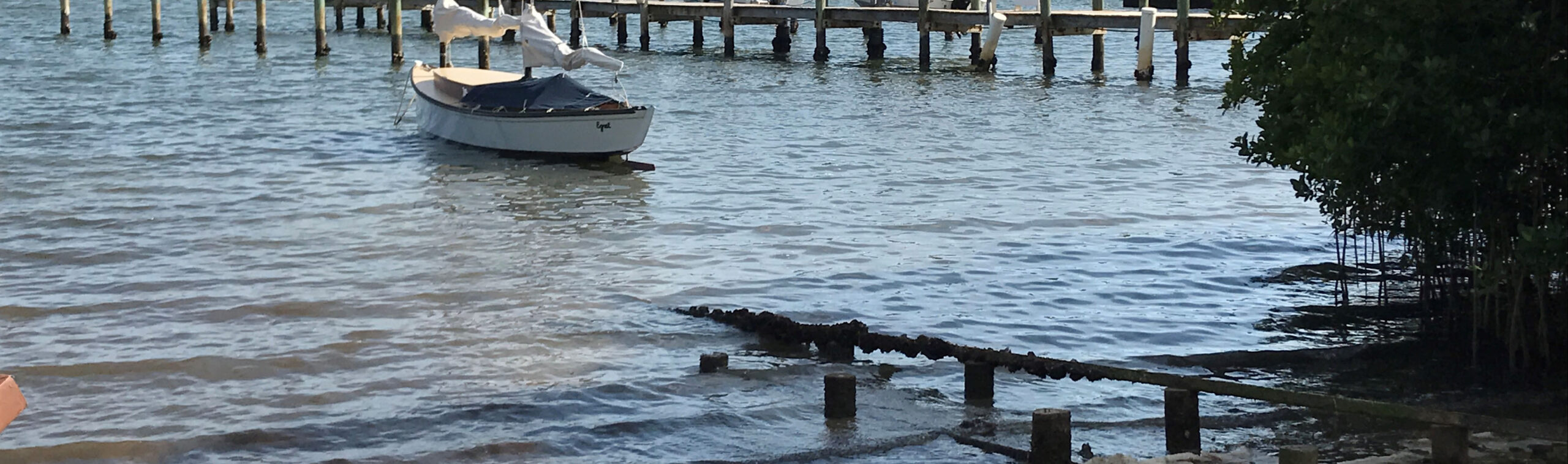 A.Barnacle Boat