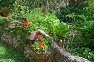 Garden.jpg